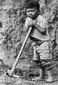  The use of child labour is a concern for socially responsible investors.